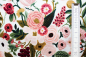 Preview: Designerbaumwollstoff Garden Party weiß  (10 cm)